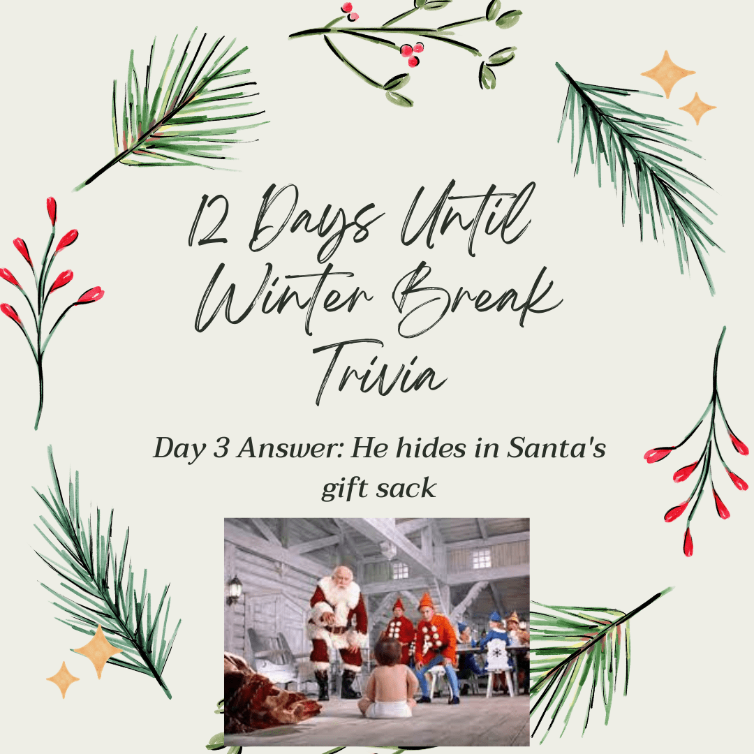 Day 3 Answer: He hides in Santa's gift sack when he was a baby!